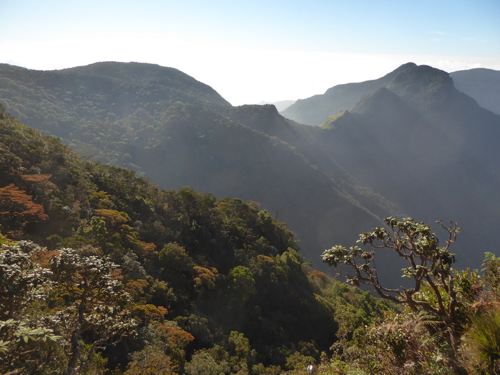 Trekking to  Great World's End Drop Hortons Plains  Nuwara Eliya 