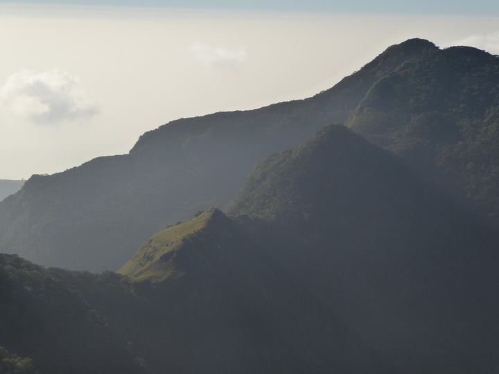 Trekking to  Great World's End Drop Hortons Plains  Nuwara Eliya 