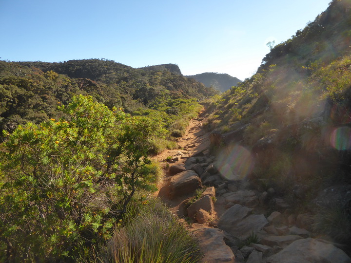 Trekking to  Great World's End Drop Hortons Plains  Nuwara Eliya 