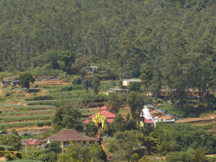   Ella Nuwara Eliya. Ella Nuwara Eliya. 