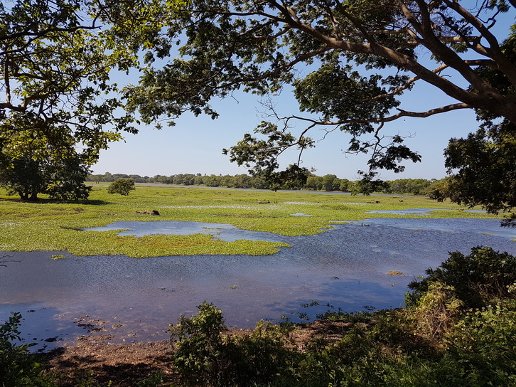 Anawilundawa       Bird sanctuary