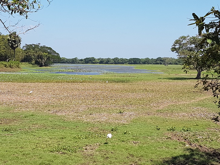 Anawilundawa       Bird sanctuary