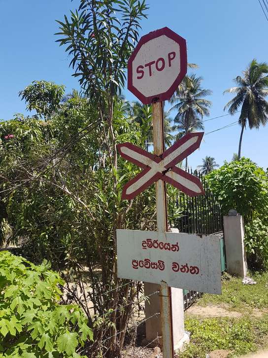 Anawilundawa       Bird sanctuary