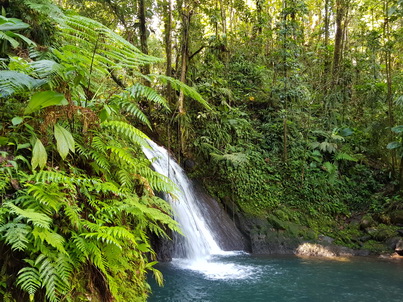   Guadelope Krebswasserfall Cascade aux Ecrevisses Guadelope Krebswasserfall Cascade aux Ecrevisses