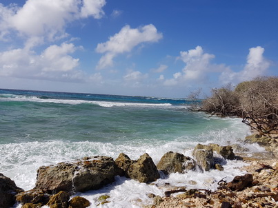   Bonaire Conch Berge MuschelbergeBonaire Bonaire Conch Berge Muschelberge