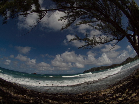  St. Lucia Fisheye Pigeon Island St. Lucia Fisheye Pigeon Island  