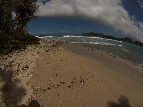  St. Lucia Fisheye Pigeon Island St. Lucia Fisheye Pigeon Island  