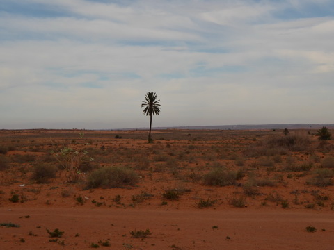  Marokko Agadir Rasbouka Duenen Atlasgebirge (2531 m) im Südwesten Marokkos Antiatlas