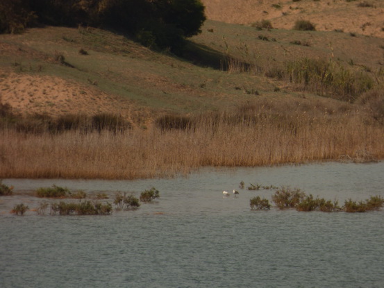  Marokko Agadir Souss Masaa Nationalpark Chtouka Ait Baha Province,سيدي وساي,Marokko