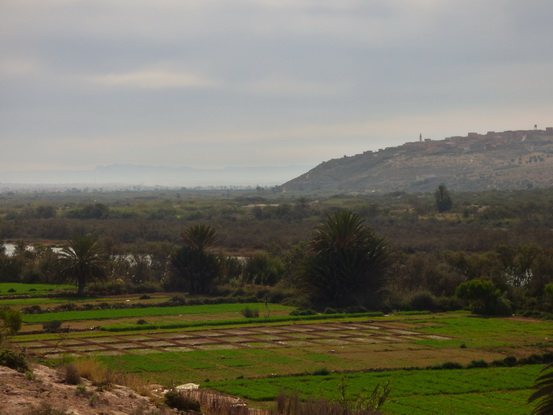  Marokko Agadir Souss Masaa Nationalpark Chtouka Ait Baha Province,سيدي وساي,Marokko