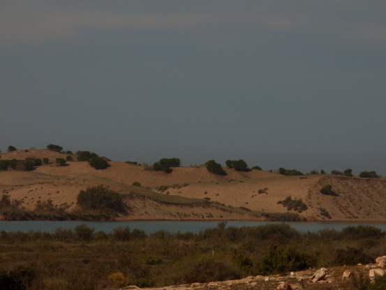  Marokko Agadir Souss Masaa Nationalpark Chtouka Ait Baha Province,سيدي وساي,Marokko