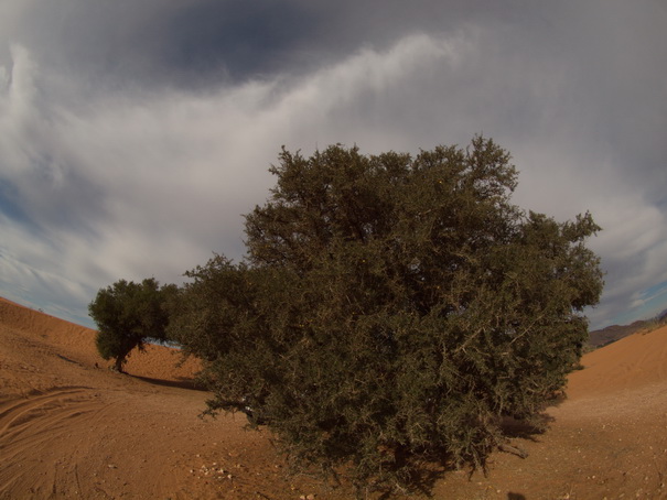  Marokko Agadir Rasbouka Duenen  Chtouka Ait Baha Province,سيدي وساي,Marokko