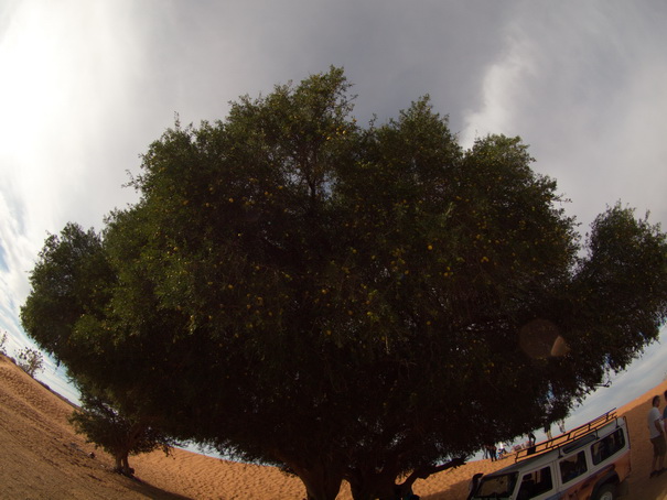  Marokko Agadir Rasbouka Duenen  Chtouka Ait Baha Province,سيدي وساي,Marokko