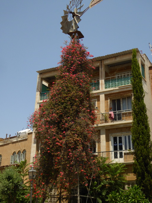 Zypern NIkosia Türkei 