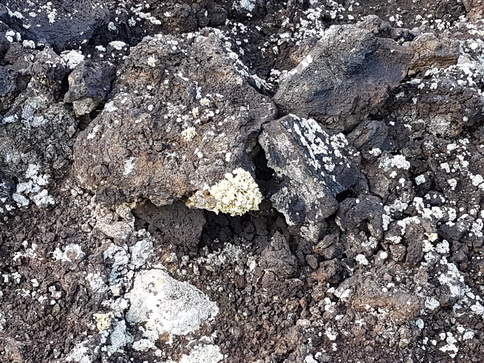 Lanzarote  Timanfaya-Nationalpark  Parque Nacional de Timanfaya