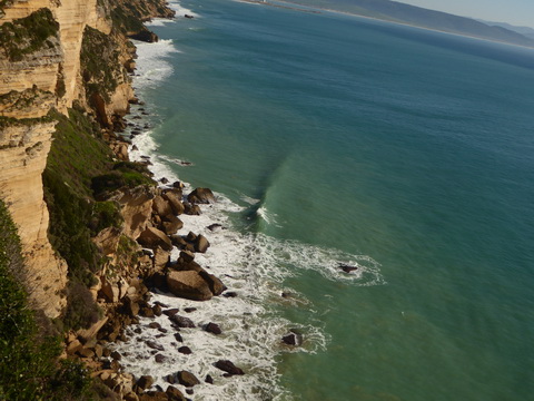   La Brena Wanderung  Spanien Cadiz Atlantic La Brena Wanderung 