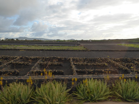 Lanzarote Caesar Manrique costa Teguise