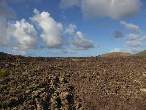 Lanzarote Feuerberge Nationalpark Montana Colorada Montañas del Fuego (Feuerberge) Lanzarote  Timanfaya-Nationalpark  Parque Nacional de Timanfaya