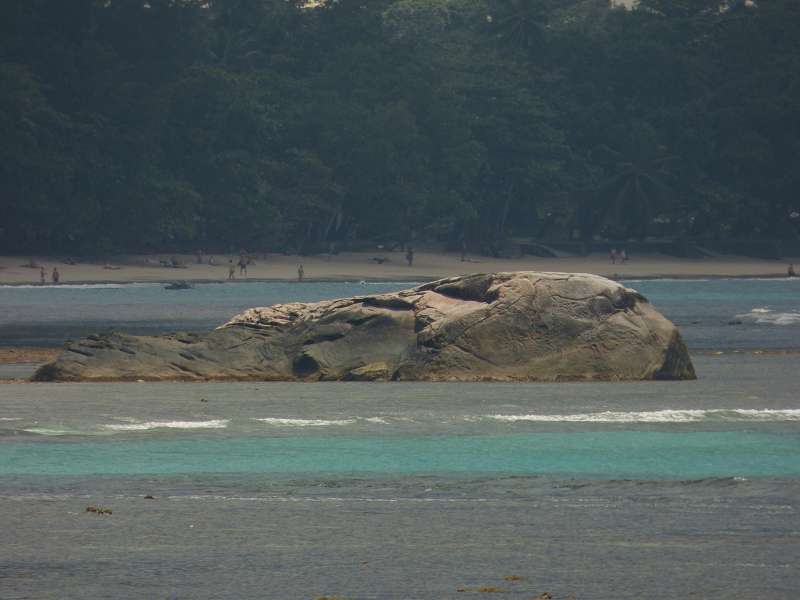 Hilton Northolme Seychelles Vögel Reiher am Ufer 