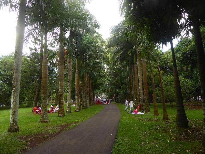 Mauritius Botanischer Garten  Sir Seewoosagur Ramgoolam Botanical Garden Pampelmousse