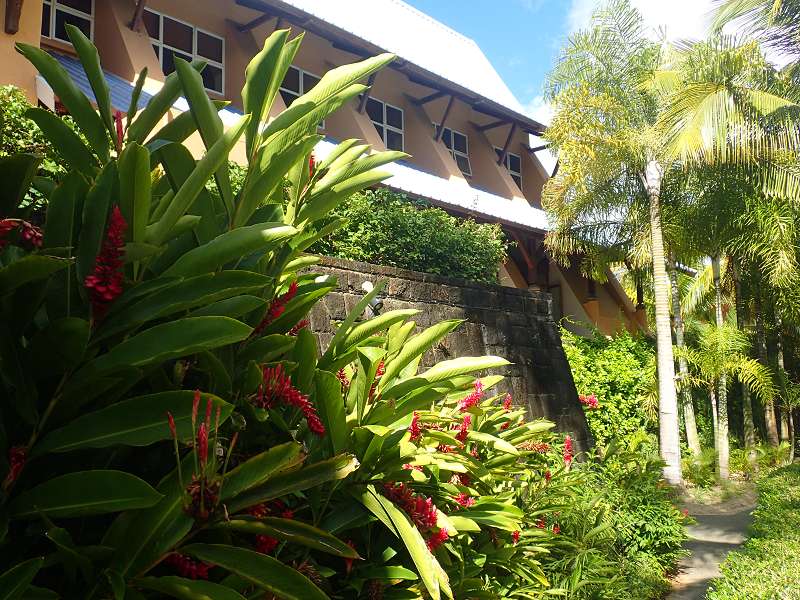 Mauritius Garten Schnorcheln Le Victoria Beachcomber Hotel Mauritius Garden 